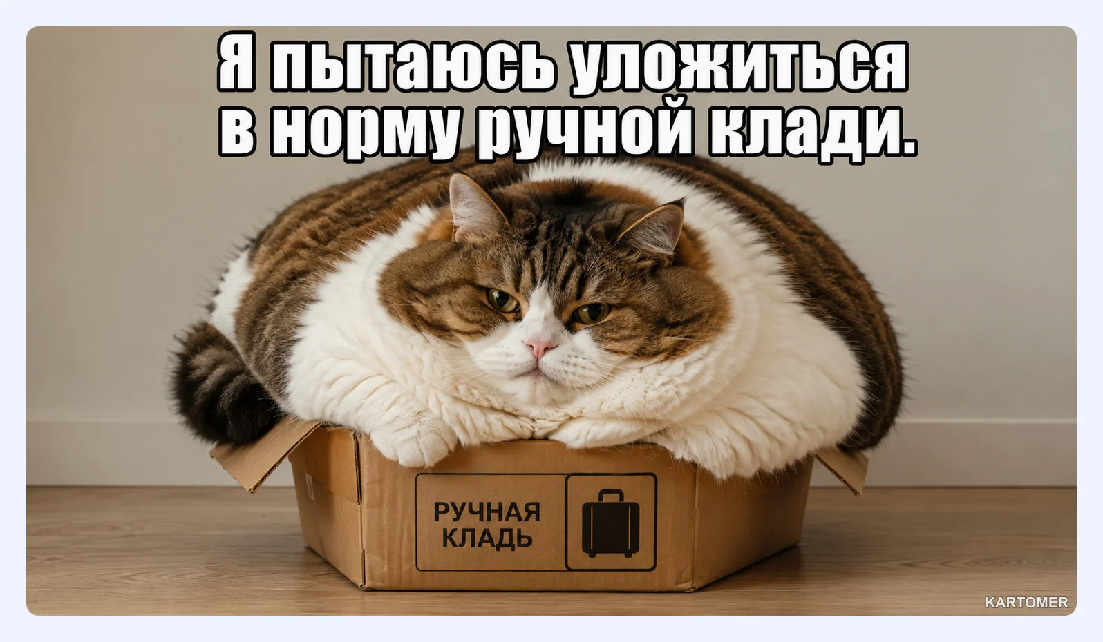 Скриншот: Почему багаж и места лучше оплатить заранее