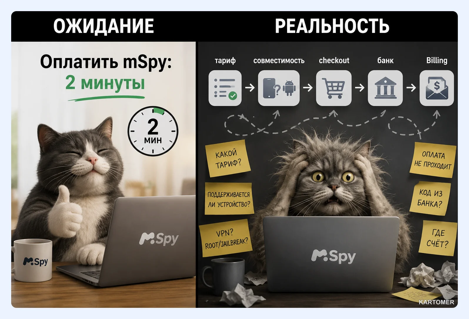 Скриншот: Какие способы оплаты поддерживает mSpy