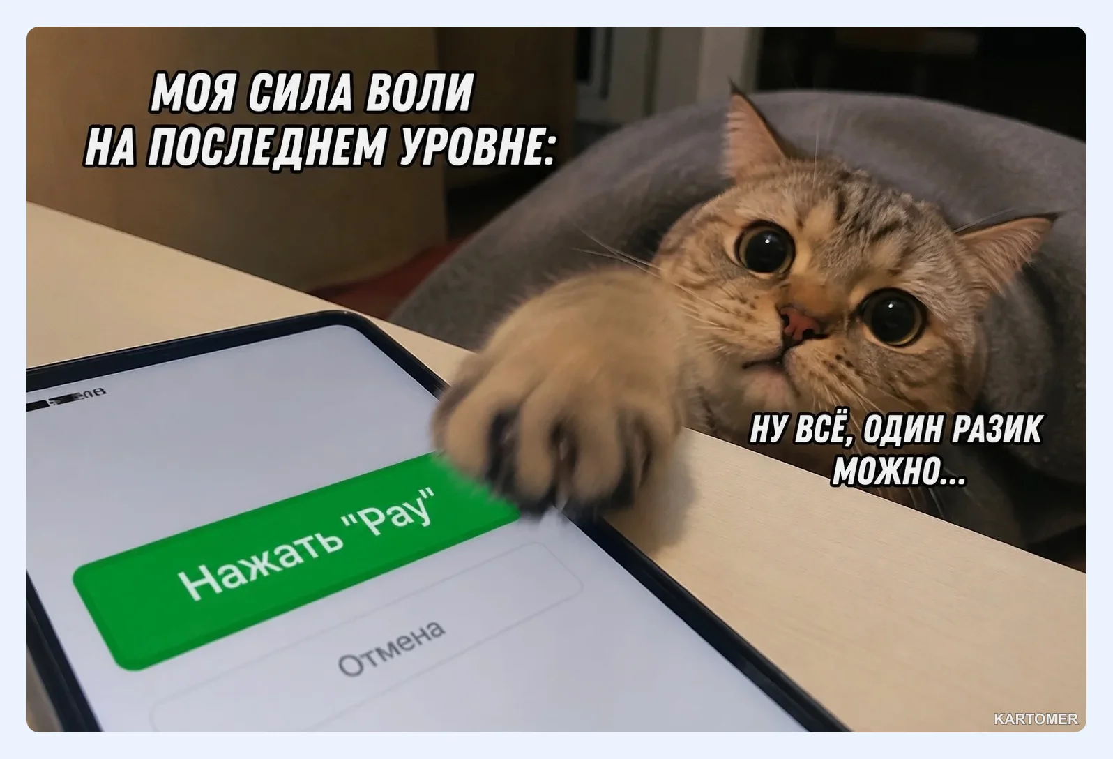 Скриншот: Сколько стоит OpenAI API