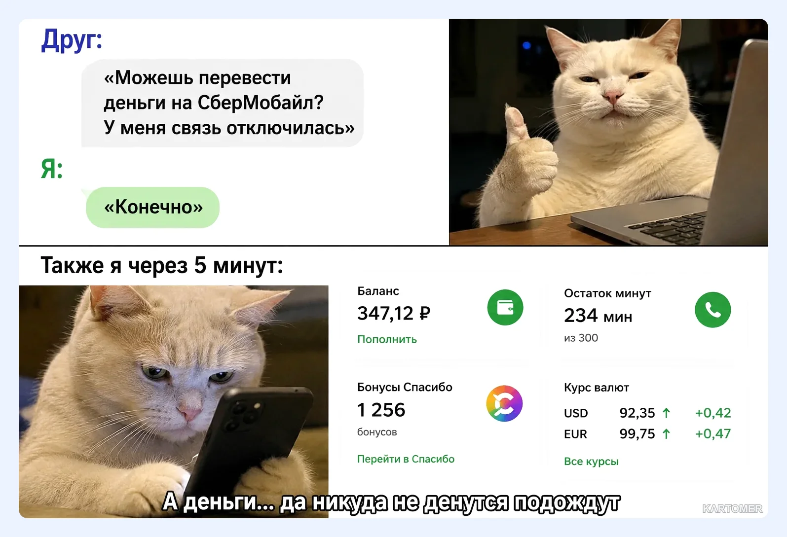 Скриншот: Важные моменты при оплате СберМобайл