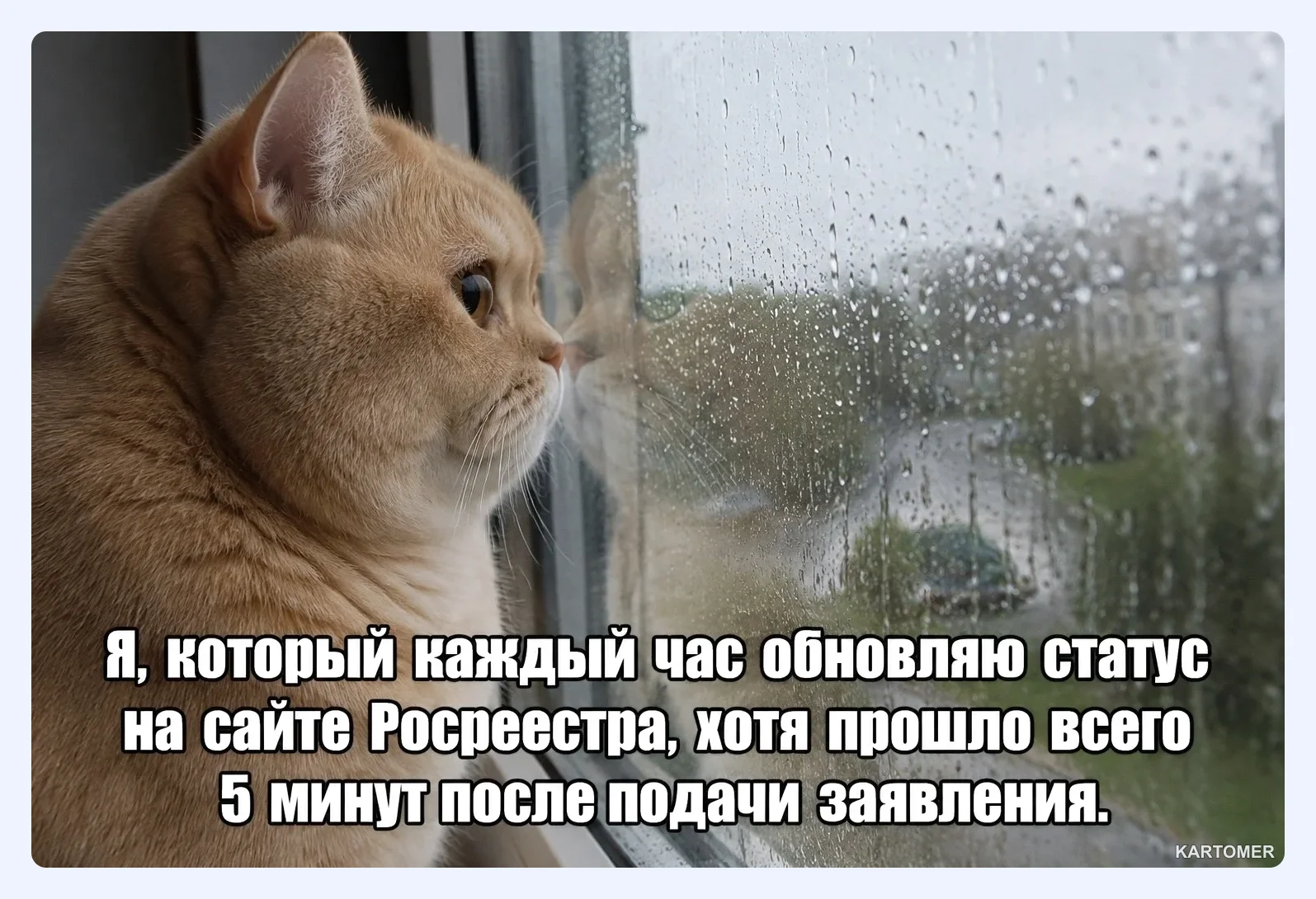 Скриншот: Как проверить результат бесплатно