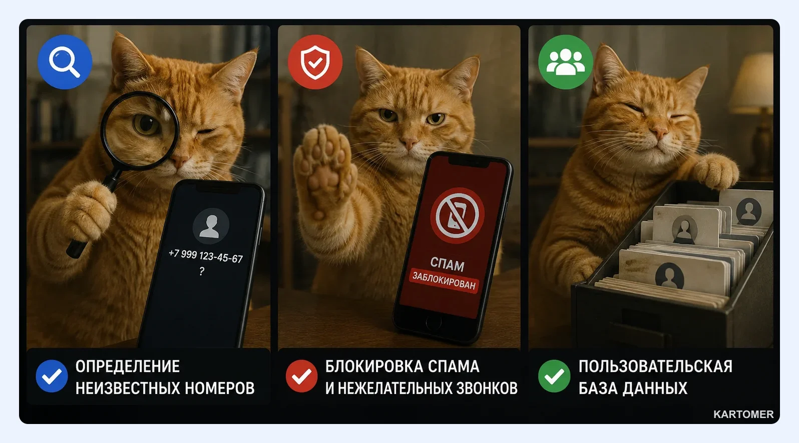 Скриншот: Основные функции и возможности NumBuster