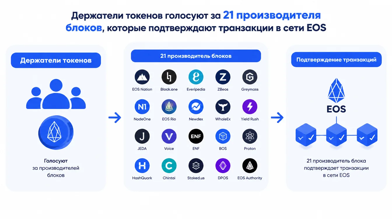 Схема: держатели токенов голосуют за 21 производителя блоков, которые подтверждают транзакции в сети EOS