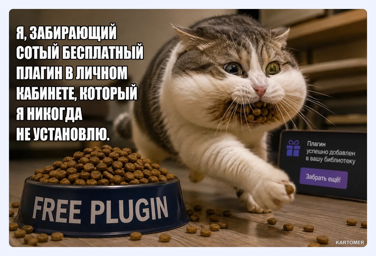 Скриншот: Управление плагинами и аккаунтом
