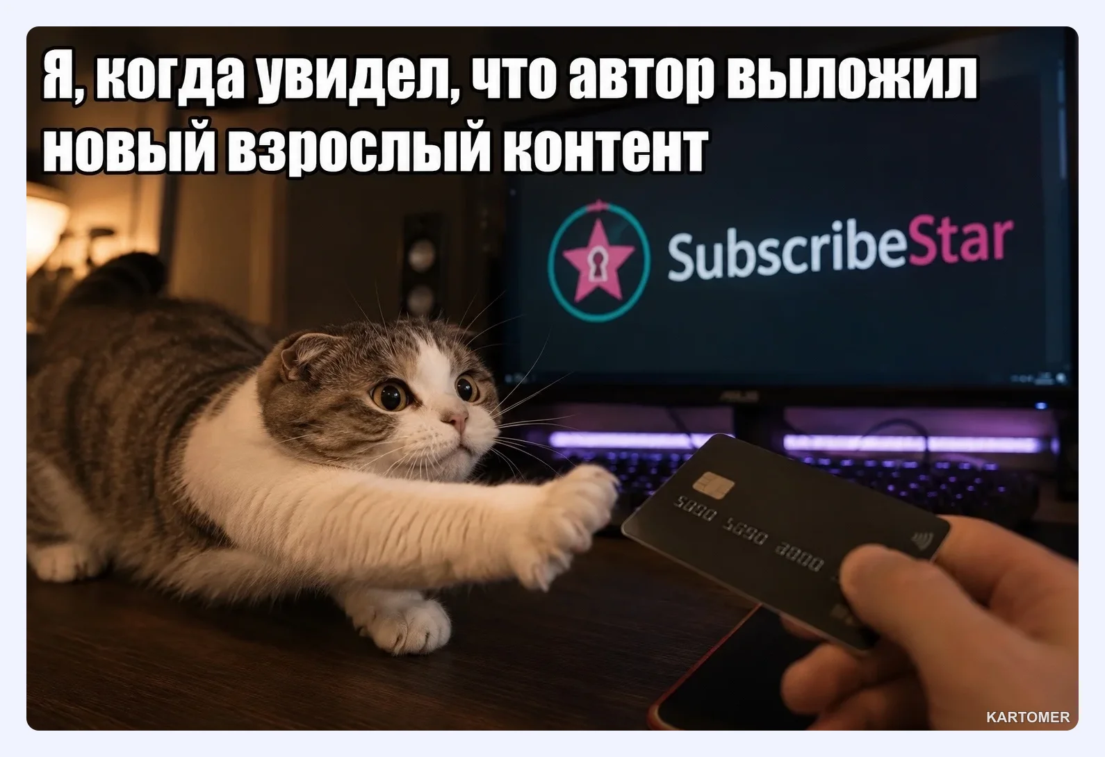 Скриншот: Что такое SubscribeStar